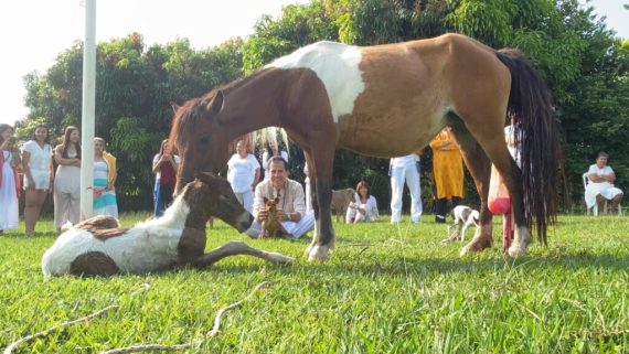 89353790_2824332917649220_3065983496833990656_n-1024x576