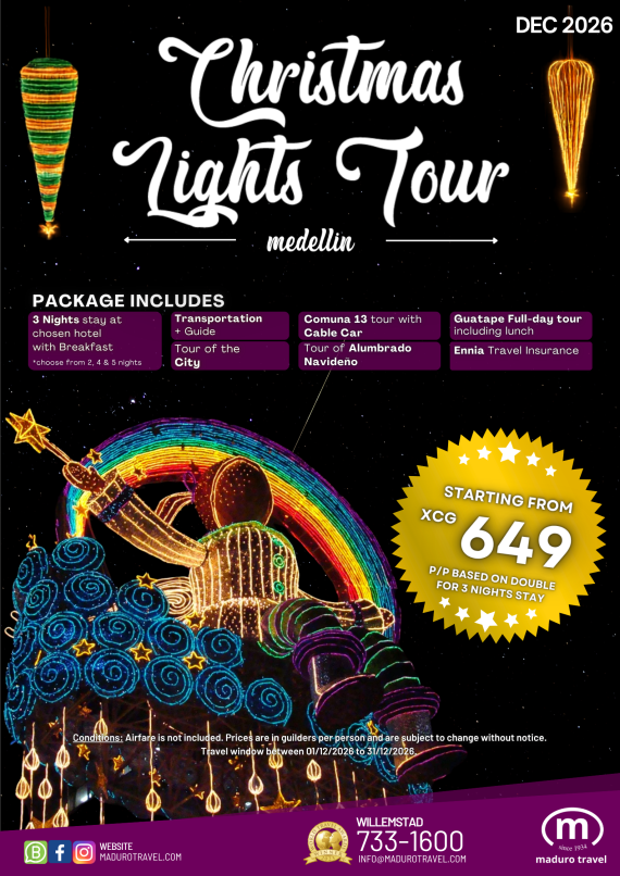 Christmas Lights Tour 2026 - Flyer