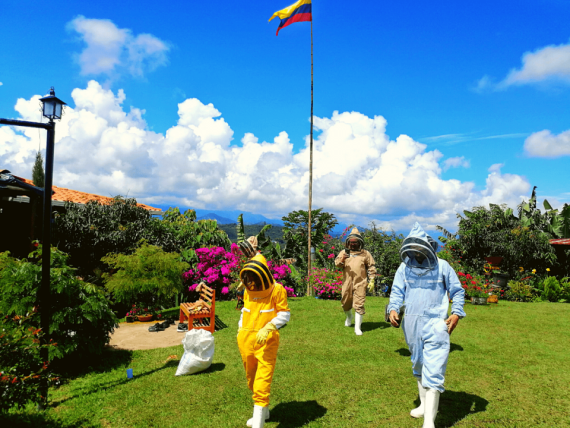 Beekeeping & honey Tour - Maduro Travel
