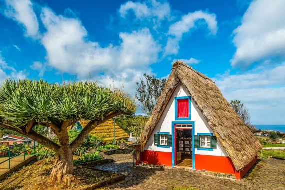 madeira-best-of-the-east-tour-from-funchal-7323017